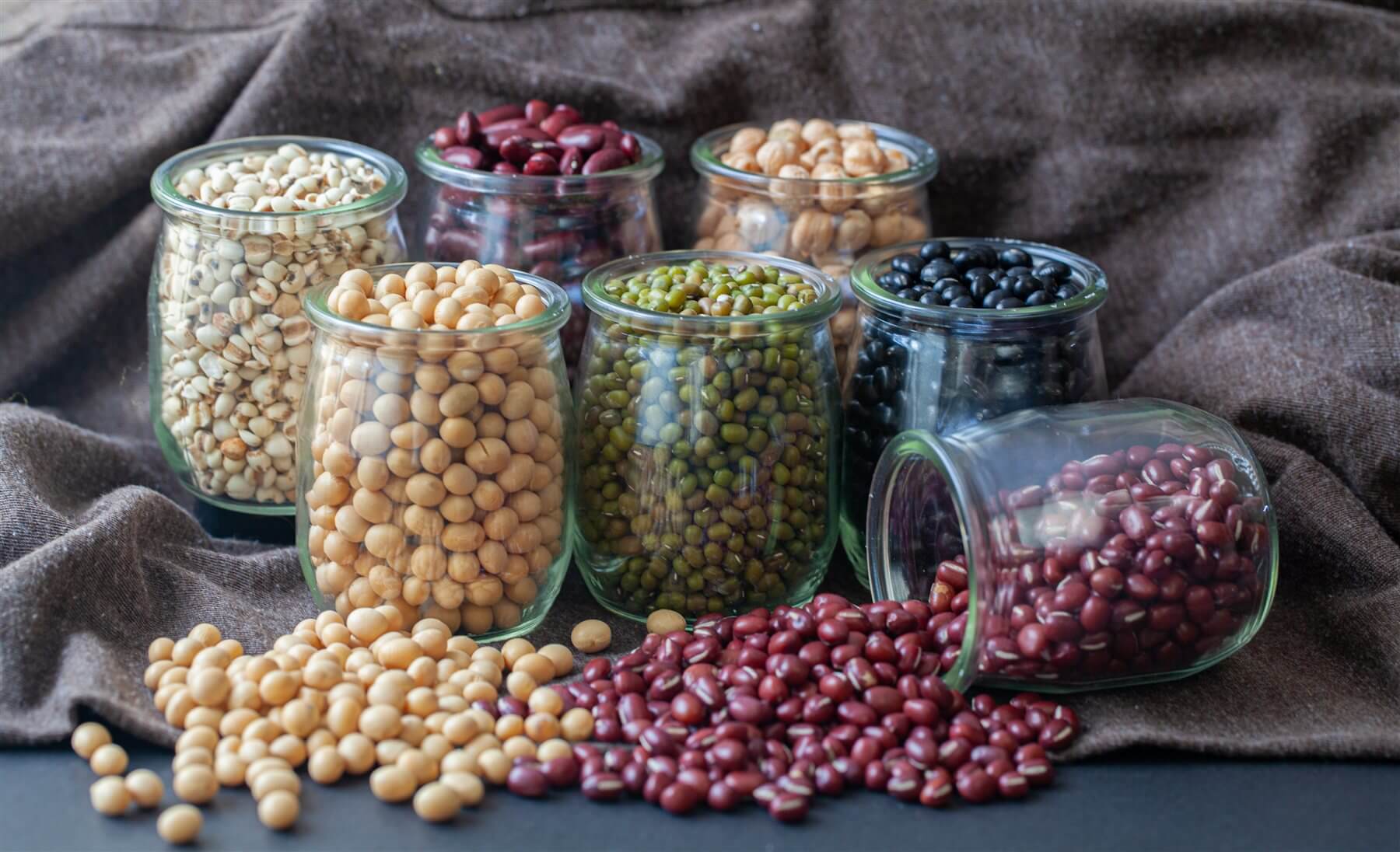 Dried Bean and Pulse varieties in glass jars
