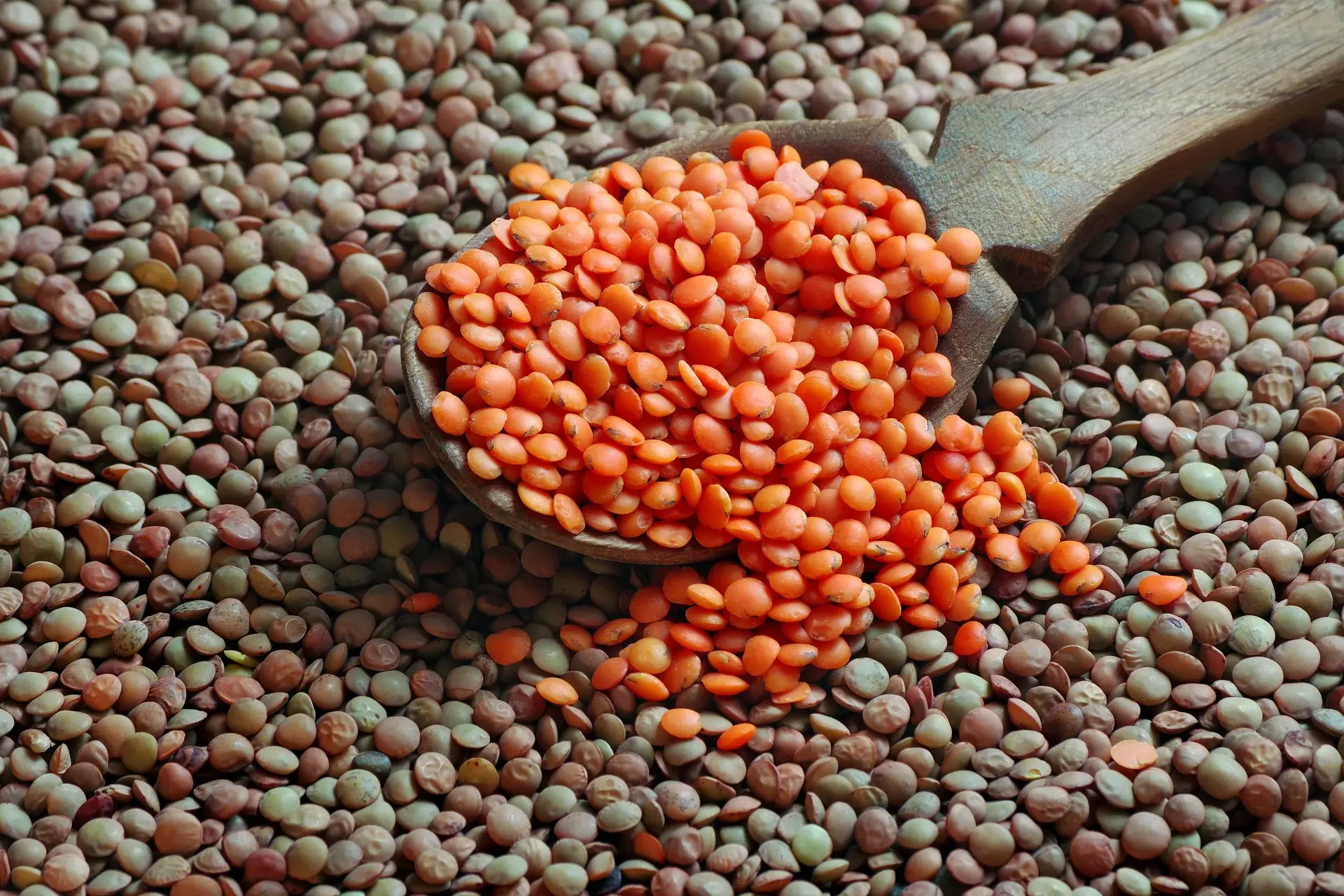 Red and Green Lentils with a wooden scoop
