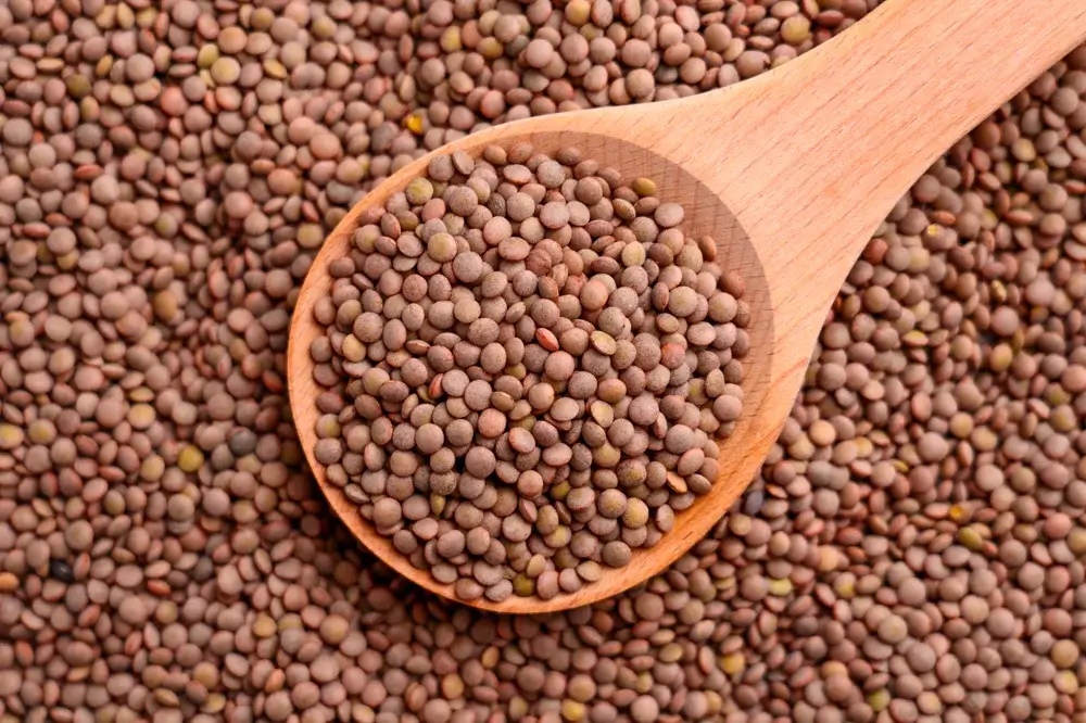 Red Lentils